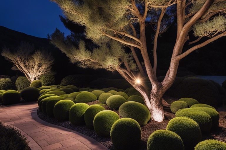 **How Do Illuminating Landscape Lights Enhance The Allure Of Junipers?**